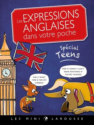 cover image of Les expressions anglaises dans votre poche, spécial teens